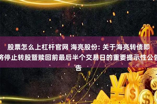 股票怎么上杠杆官网 海亮股份: 关于海亮转债即将停止转股暨赎回前最后半个交易日的重要提示性公告
