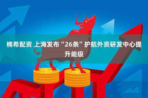 楠希配资 上海发布“26条”护航外资研发中心提升能级