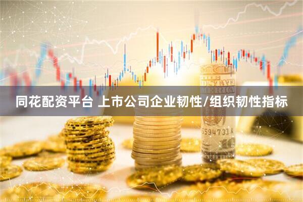 同花配资平台 上市公司企业韧性/组织韧性指标