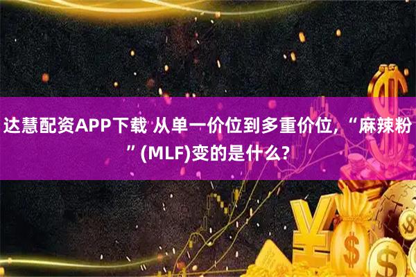 达慧配资APP下载 从单一价位到多重价位, “麻辣粉”(MLF)变的是什么?