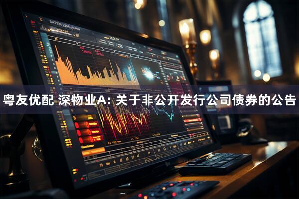粤友优配 深物业A: 关于非公开发行公司债券的公告